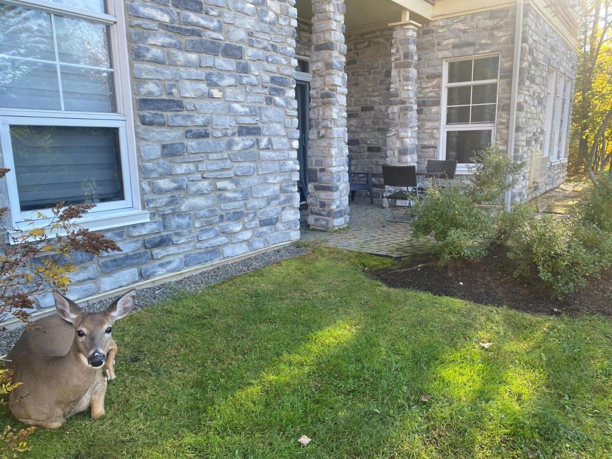 Rental condo Tremblant-les-Eaux Mont-Tremblant Exterior foto